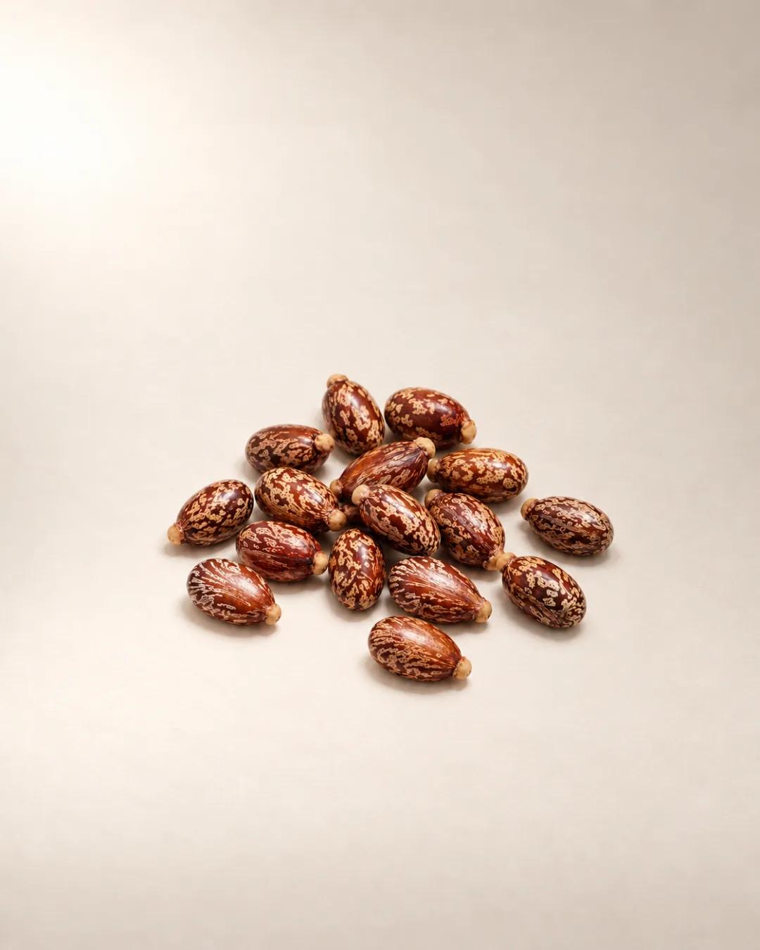 A loose cluster of glossy, marbled castor seeds on warm off-white paper